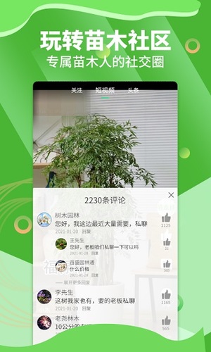 苗木通app官方版