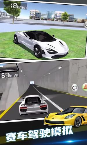 赛车驾驶模拟器手机版