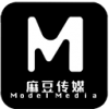 麻豆视传媒官方短视频app正式版
