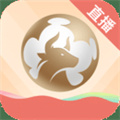 斗球体育直播app官方正版