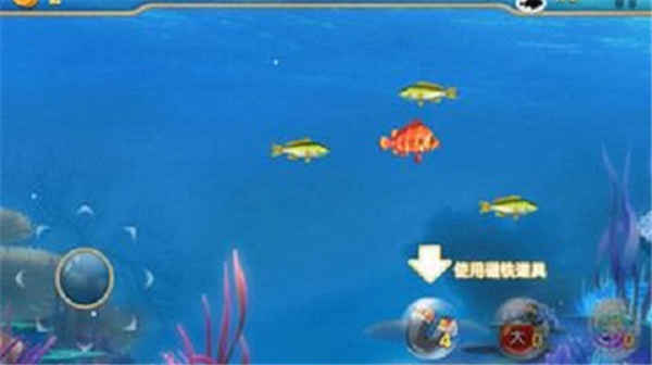 大鱼吃小鱼游戏手机版截图3